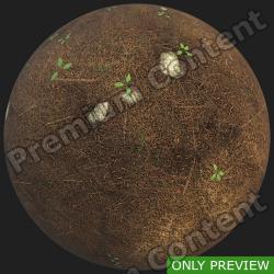 PBR Substance Material of Ground Forest 